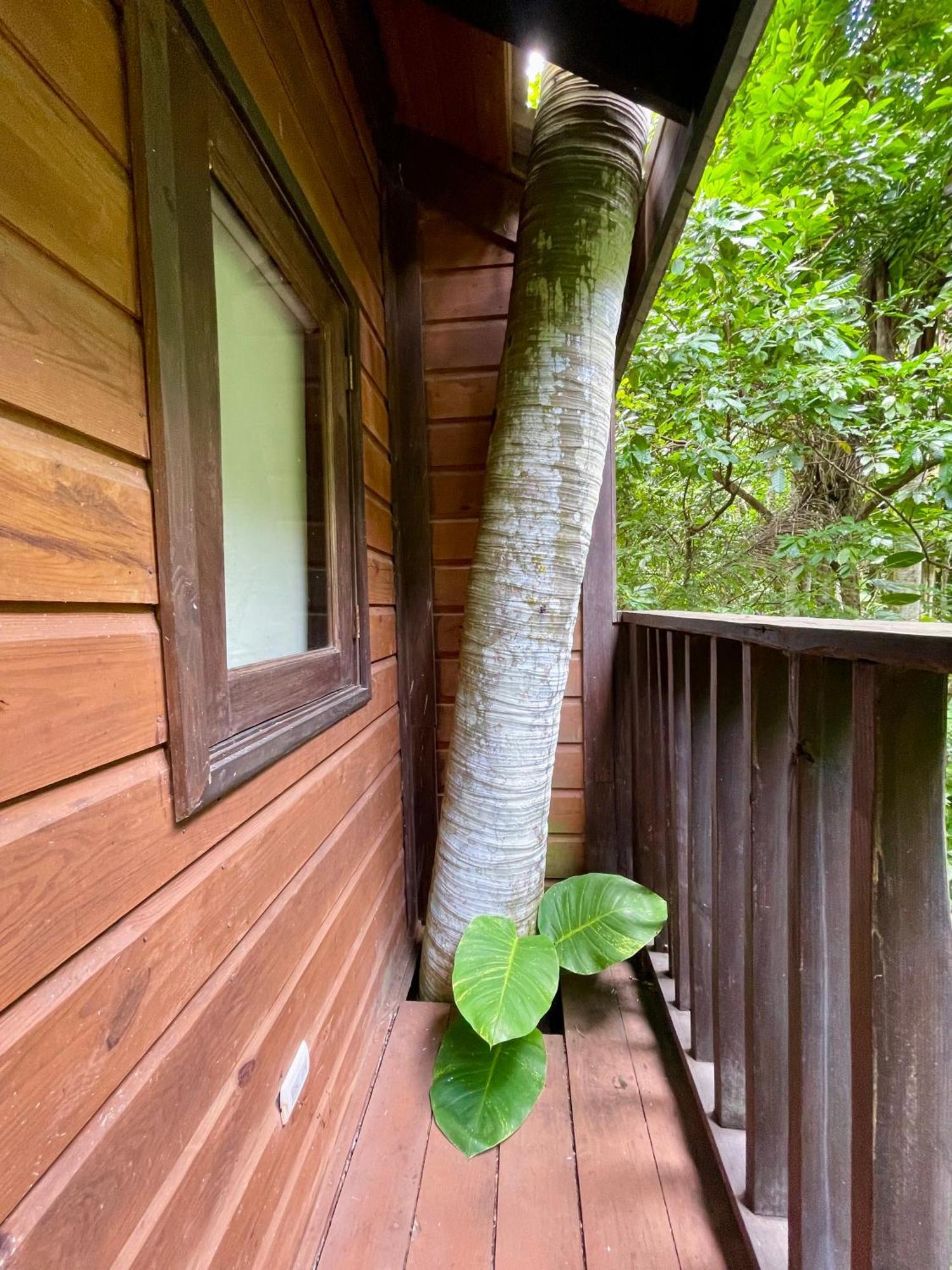 Platon Ecolodge Barahona Luaran gambar
